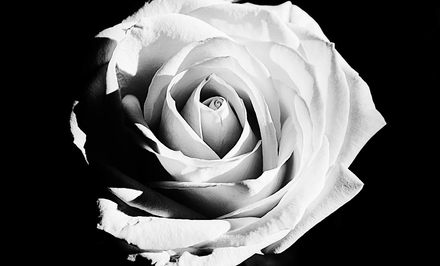 245AB5C3-037F-4D71-B1D6-CA70EC8B9E00.jpeg