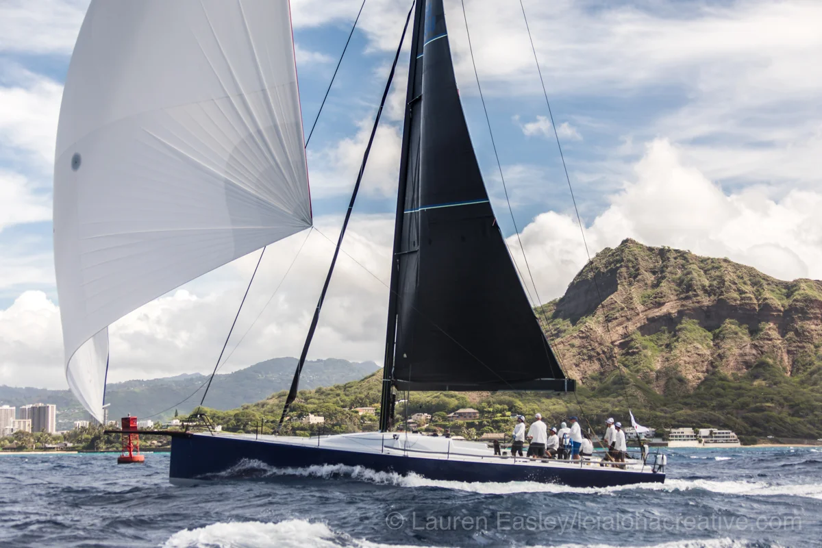 Vitesse Selects-3.jpg