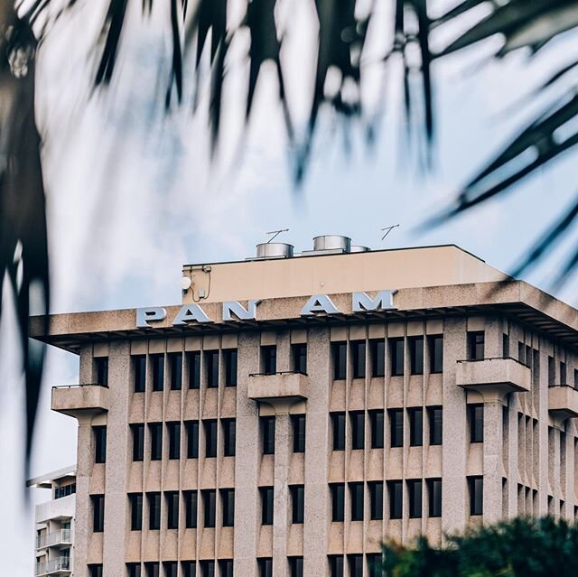 Day FOUR - telephoto day.
.
One of the cooler buildings in my hood... the Pan Am building, built in 1969. Also, the only air traffic today. .
#cv19socialdistancephotochallenge #leialohacreative