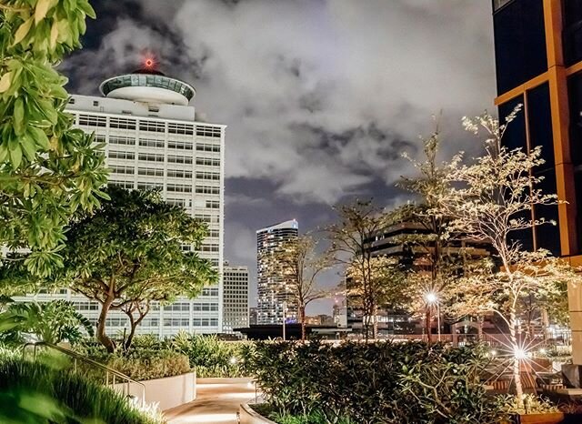 Day SIX - night shot.
.
This shot is from my 5 minutes spent outside today... layers upon layers of light in the urban jungle of Honolulu. 
#cv19socialdistancephotochallenge #leialohacreative