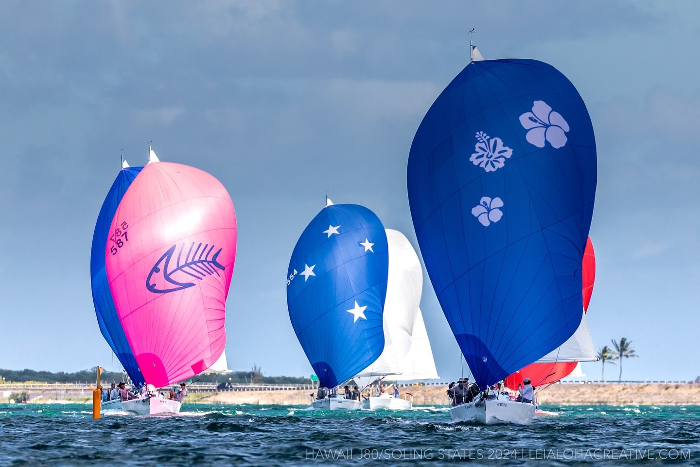 J80 / Soling States 2024

#leialohacreative #j80 #soling #hawaiisailing