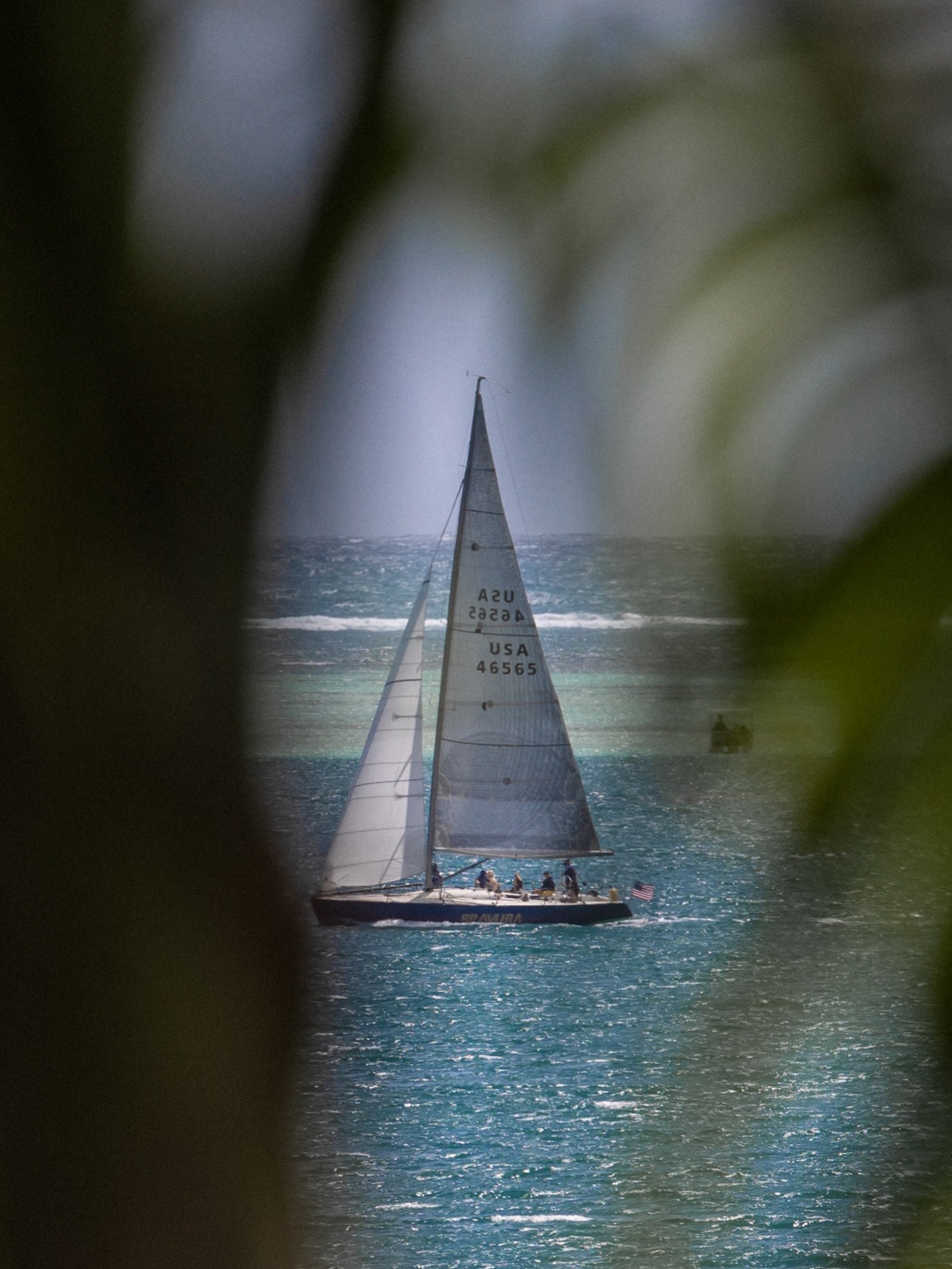 Eye spy&hellip;

#leialohacreative