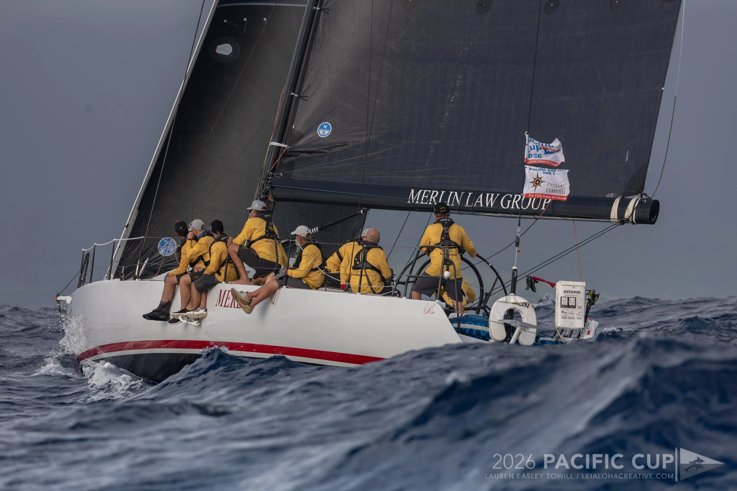 Merlin-38.jpg