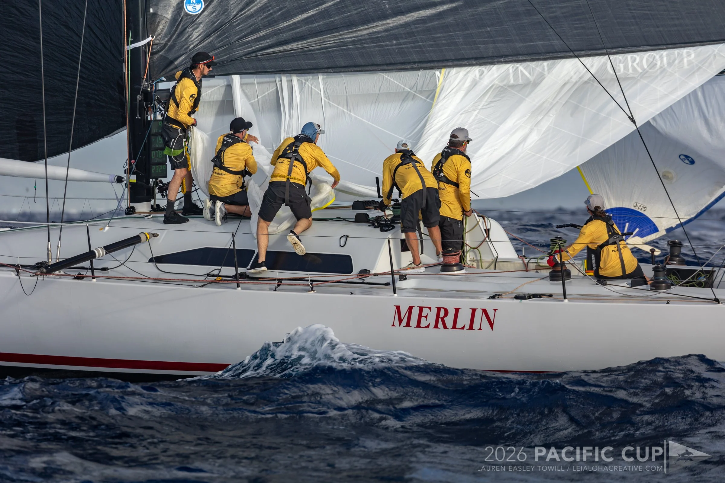 Merlin-10.jpg