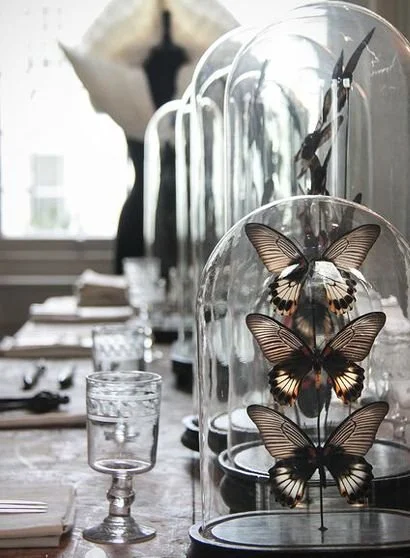 THINK OUTSIDE THE GLASS BOX