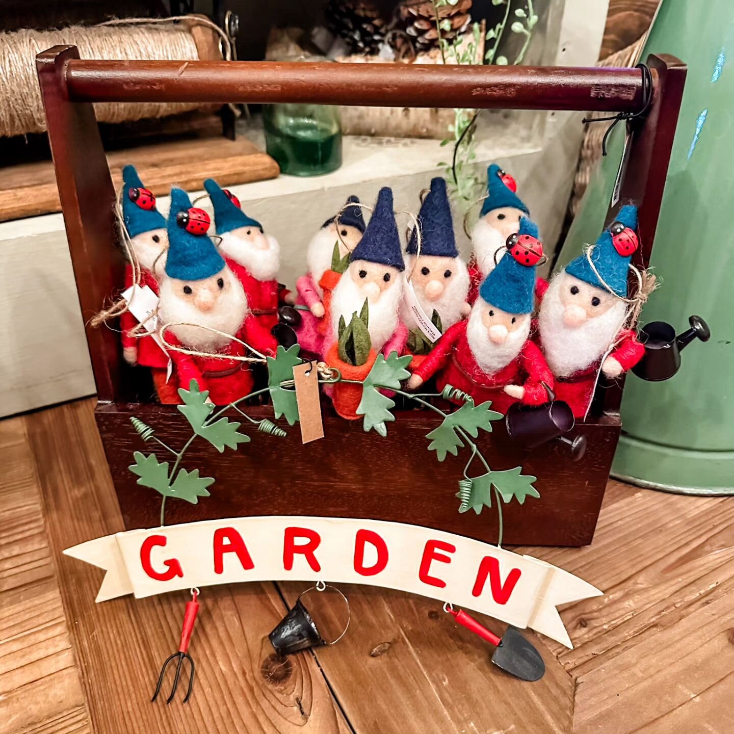 The garden gnomes are up to no good ... Just wait until you see what they've done at Eddy Street 🐞🤭🍄