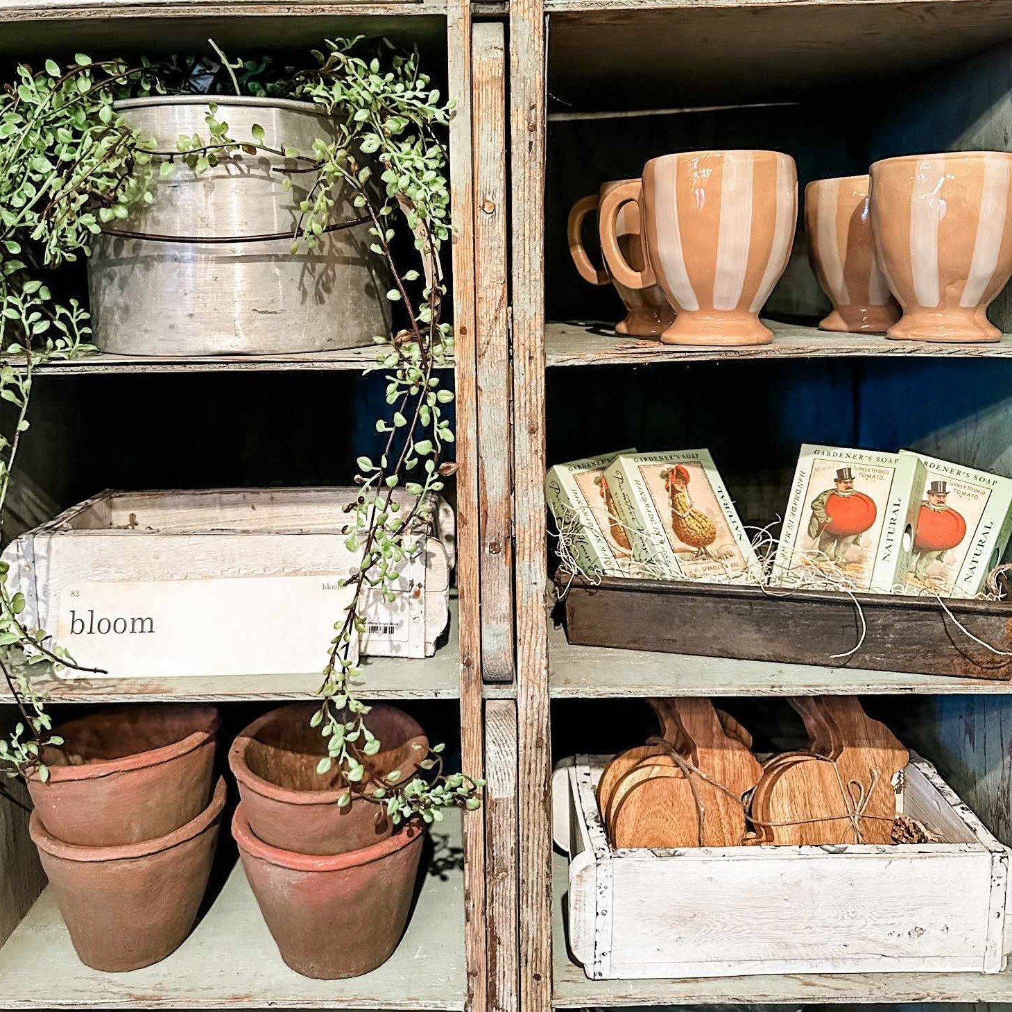 We just got in the cutest vintage-inspired gardener's hand soap, which breaks down tough dirt. It uses poppy seeds&mdash;nature&rsquo;s little exfoliators&mdash;to get that deep scrub feeling!  And it comes in four different designs! Grab one at our 