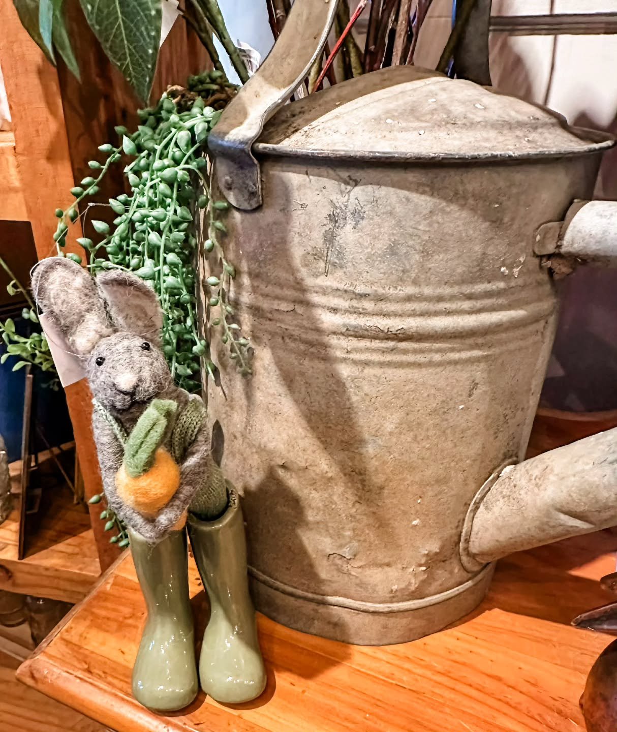 Wind wind, go away, it's time to garden today 👩&zwj;🌾