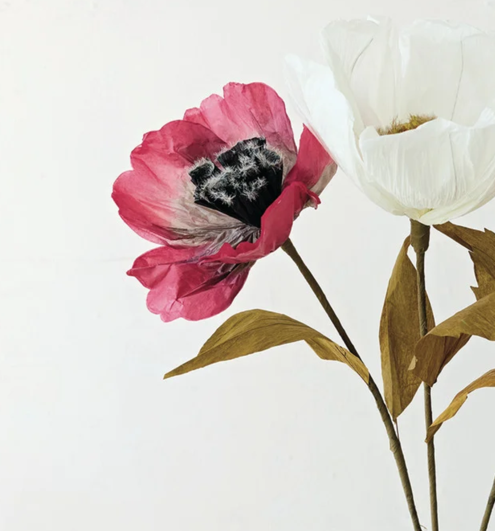 Screen Shot 2026-03-25 at 12.17.56 PM.png