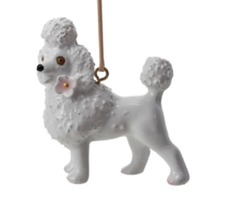 Screen Shot 2026-01-20 at 12.50.52 PM.png