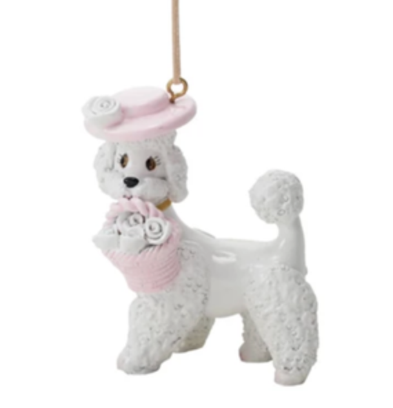 Screen Shot 2026-01-20 at 12.55.24 PM.png