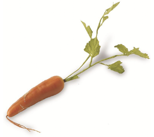 Screenshot 2025-03-28 142048.png