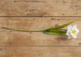 Screenshot 2025-03-28 141713.png