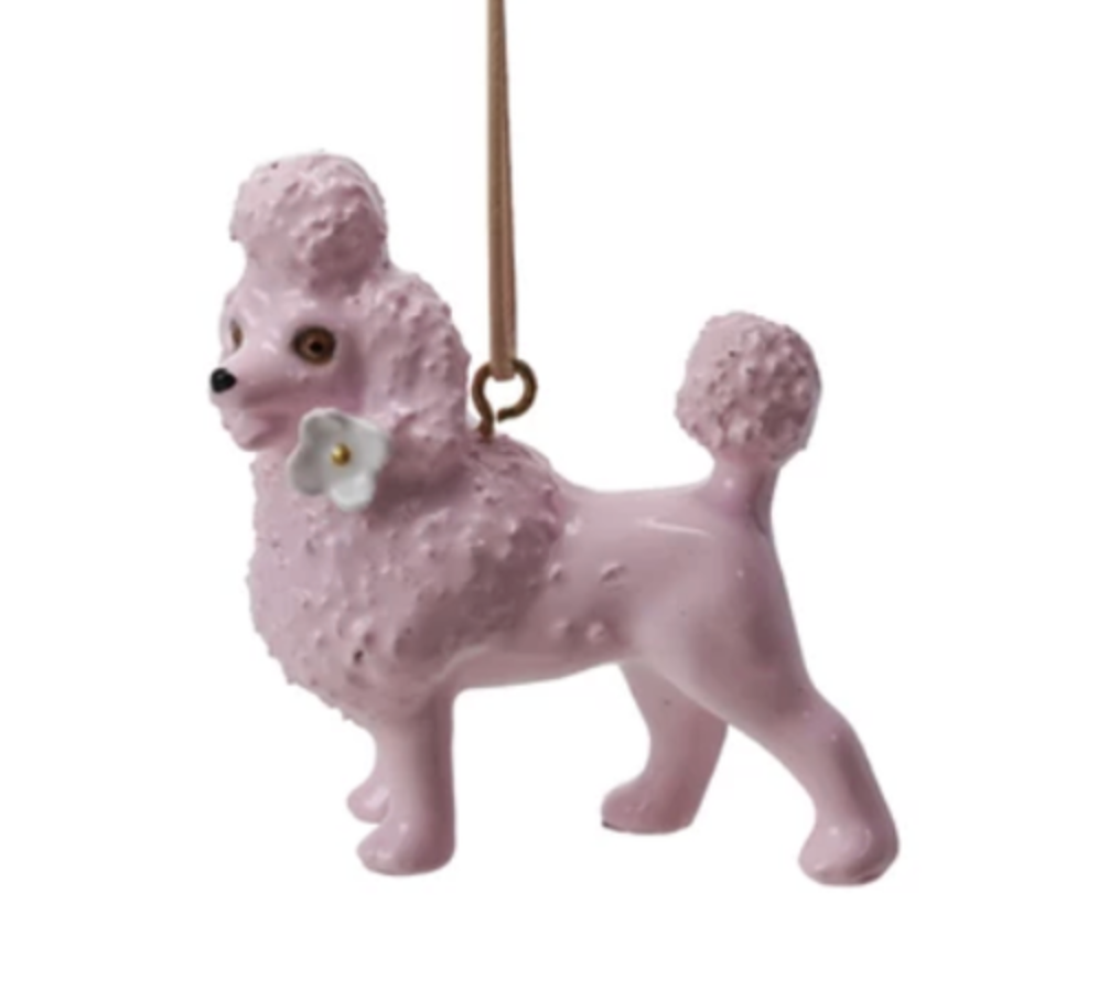 Screen Shot 2026-01-20 at 12.50.59 PM.png