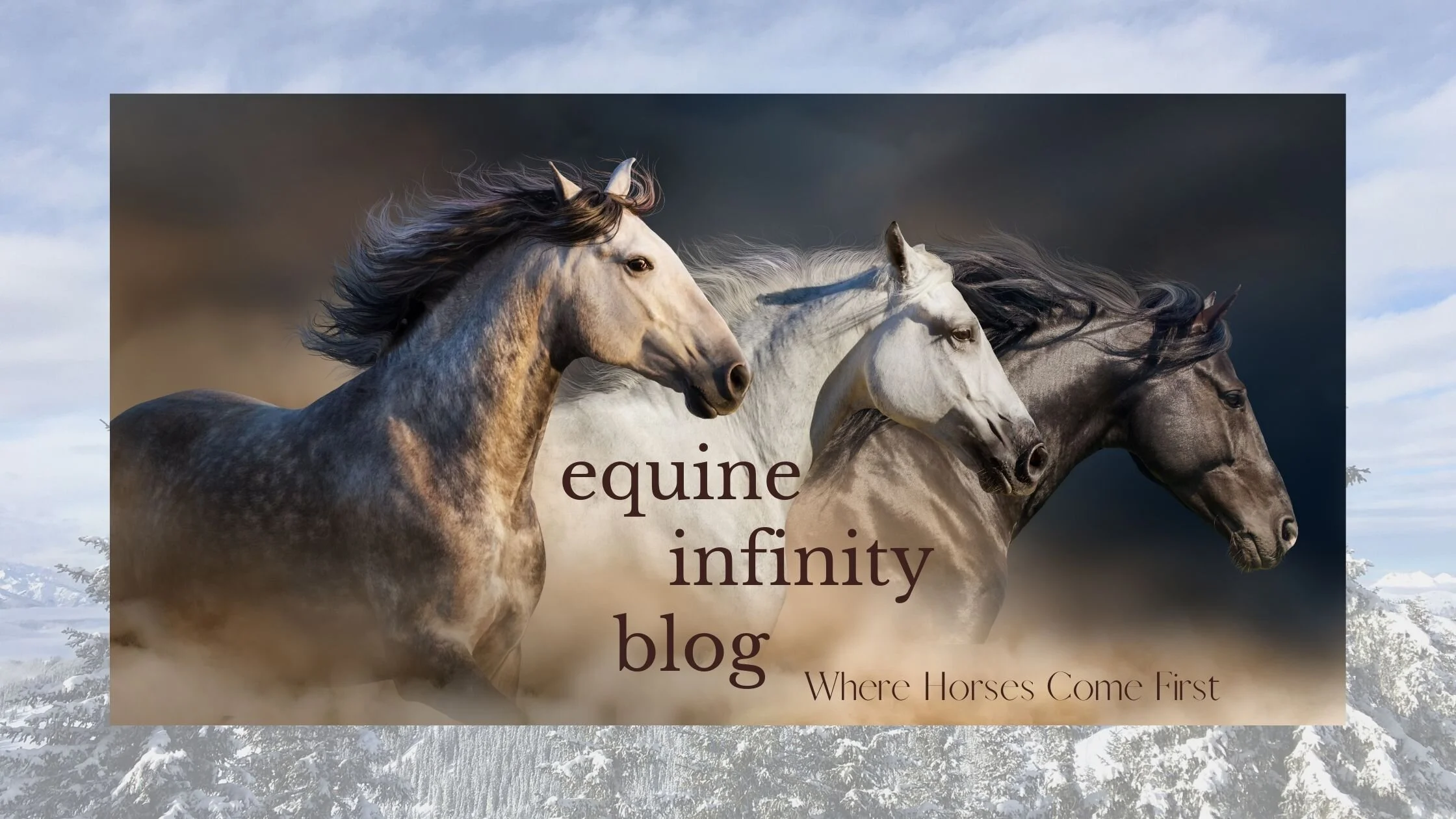 Equine Infinity Blog N=Banner.jpg