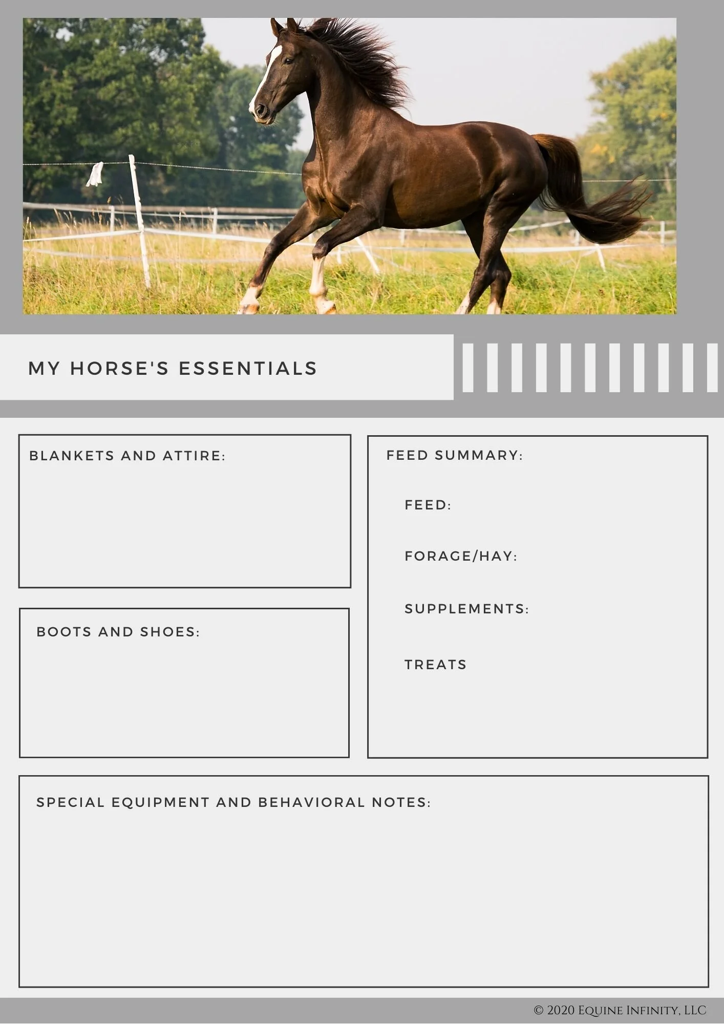 My Horse's Essentials.jpg