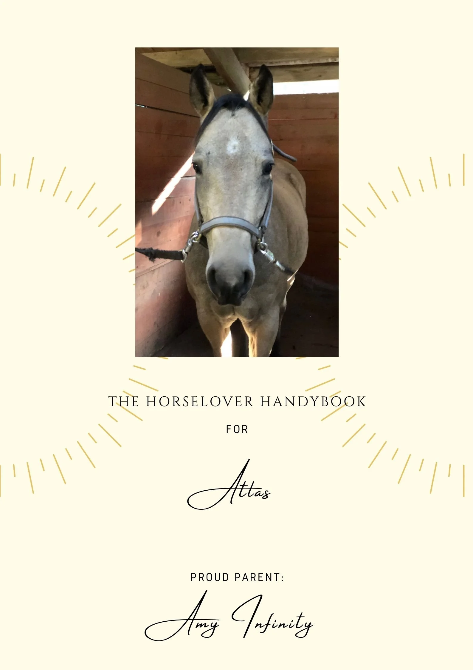 HorseBinder Front Page Example (1).jpg