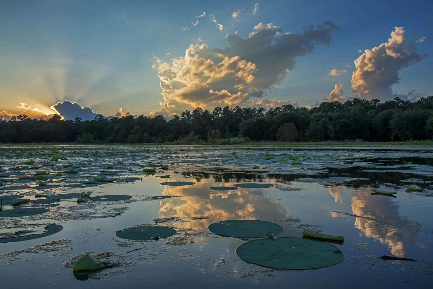 Drama on Tuscawilla Lake