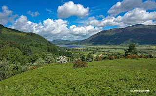 Tranquility+in+the+Lake+District7017.jpg