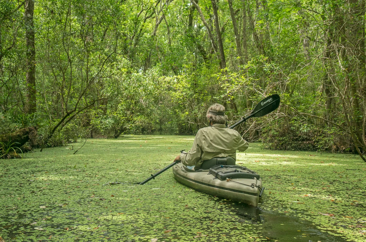 Serge Kayaking Through the Salvinia