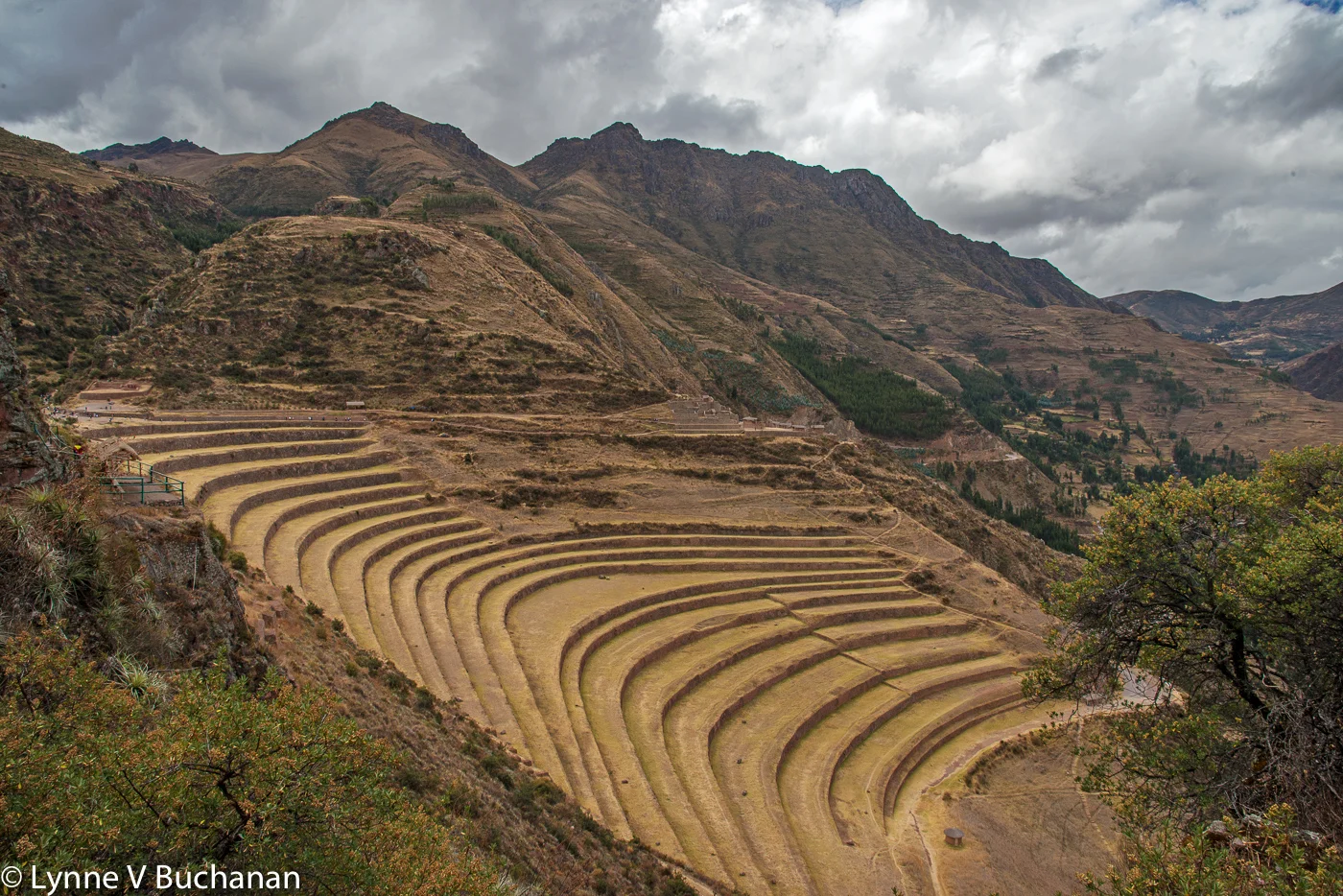 Terraces, Sacred Valley