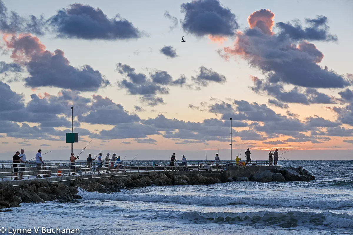 Fishing on the Pier at Jupiter Pointe