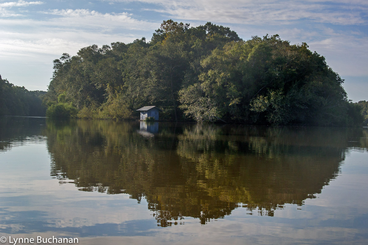 Island Floating House