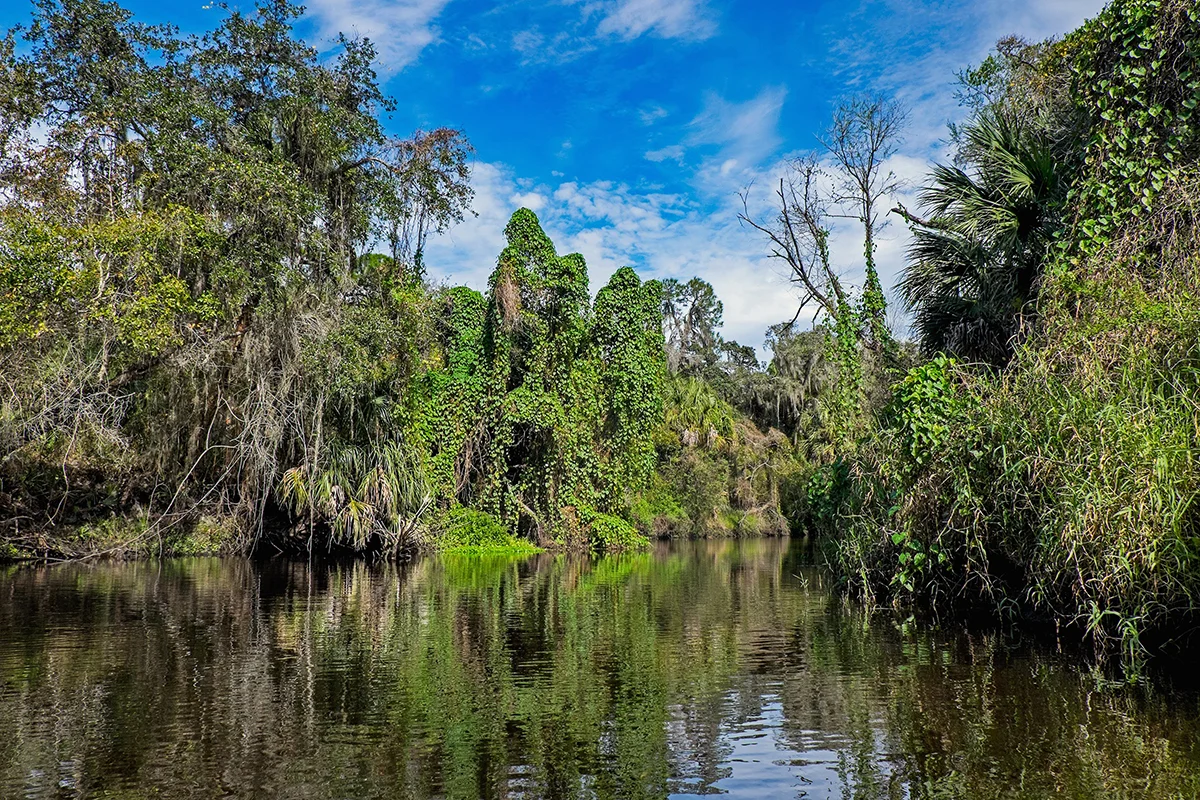 Little Manatee River