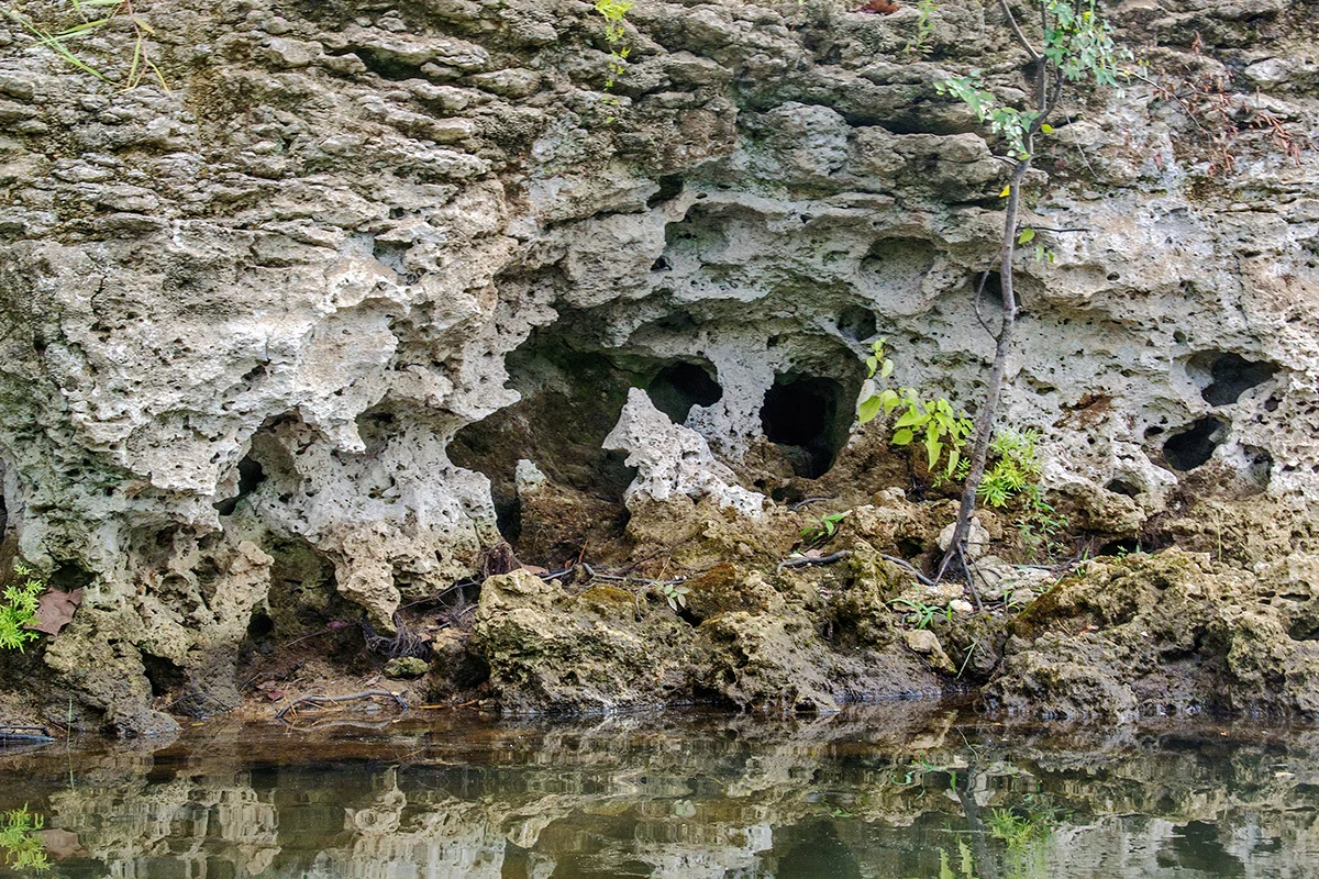 Porous Limestone Foundation, Apalachicola River