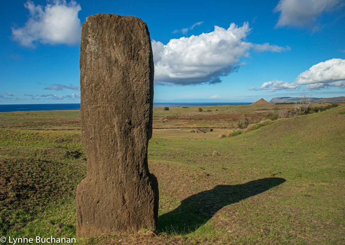 What the Maoi Sees, Rao Rarku