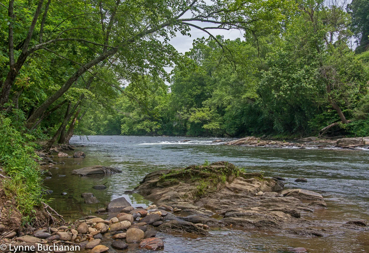 the Tuckasegee River and the Nantahala River and Forest — Lynne