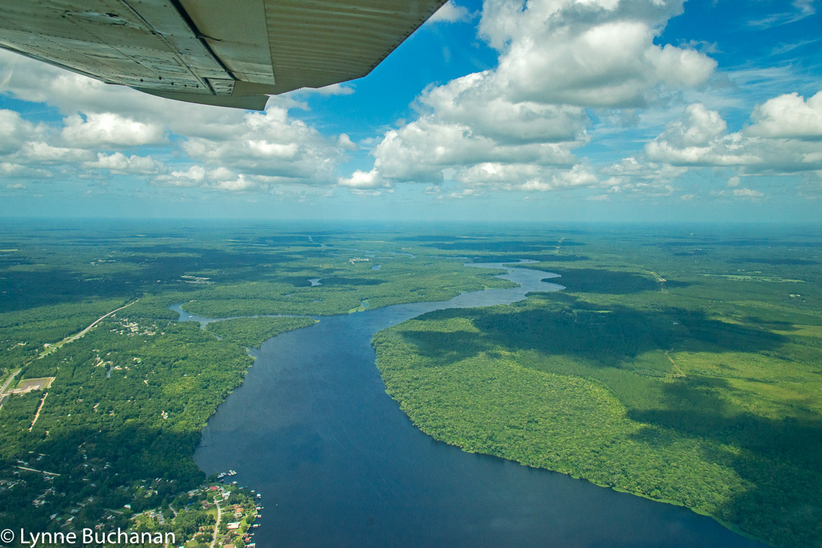 St. Johns River Looking South, with the Confluence of Dunns Creek on the Left and Murphy's Island and Buffalo's Bluff in the Distance