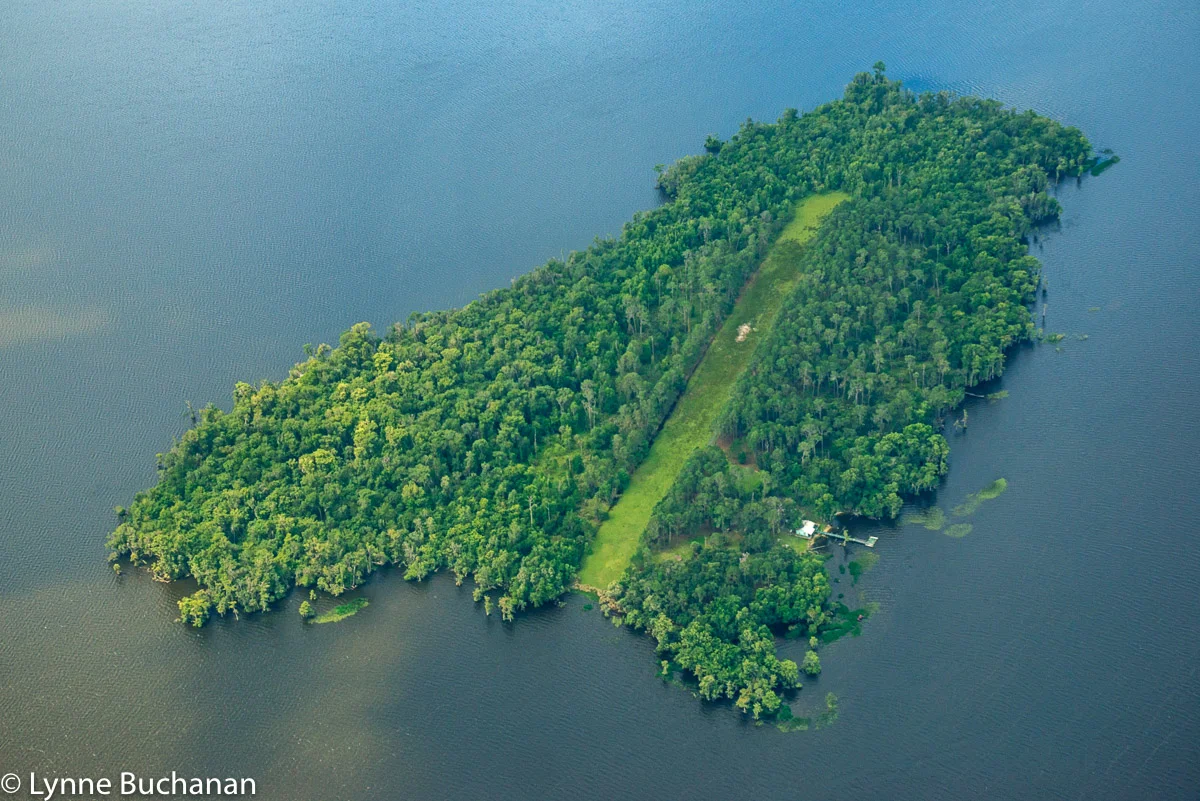 An Aerial View of the St. Johns — Lynne Buchanan Photography