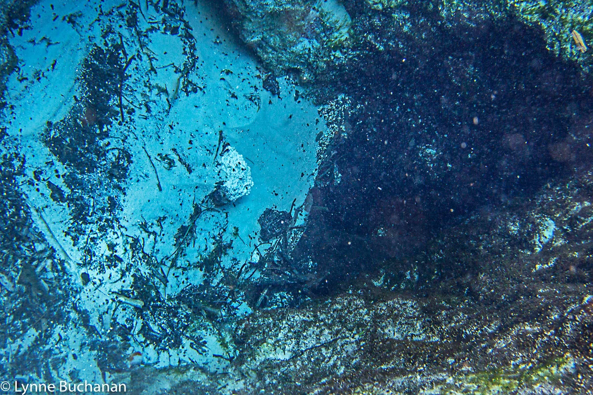 Underwater Heart