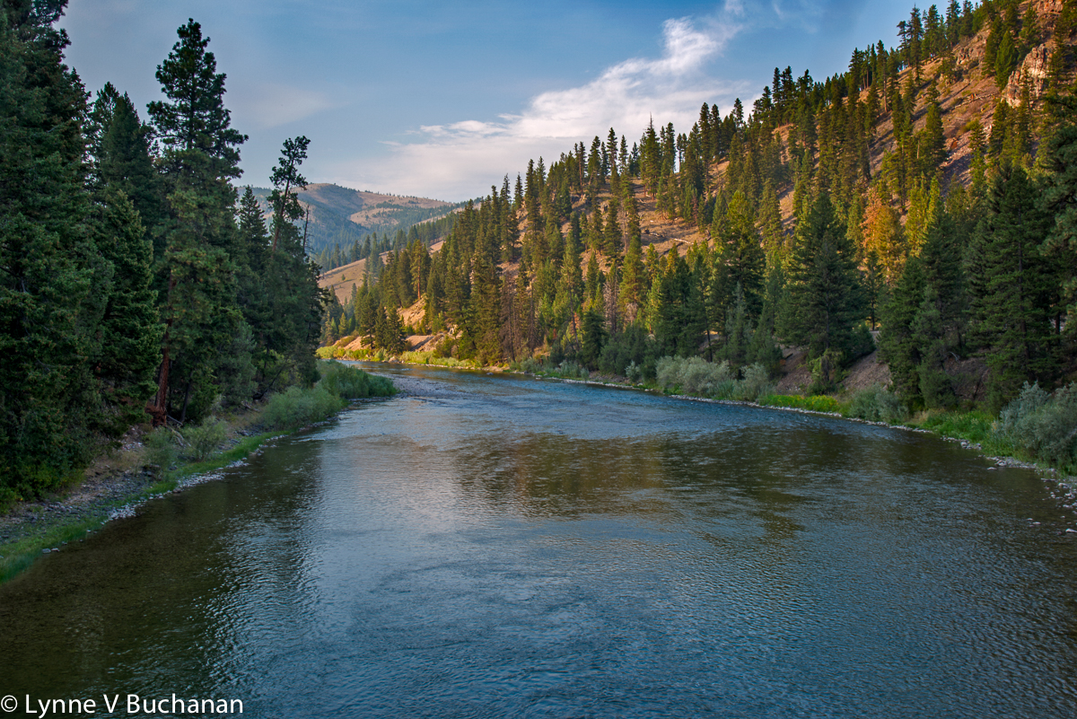 Big Blackfoot River, One of the Last Pristine Rivers in America — Lynne