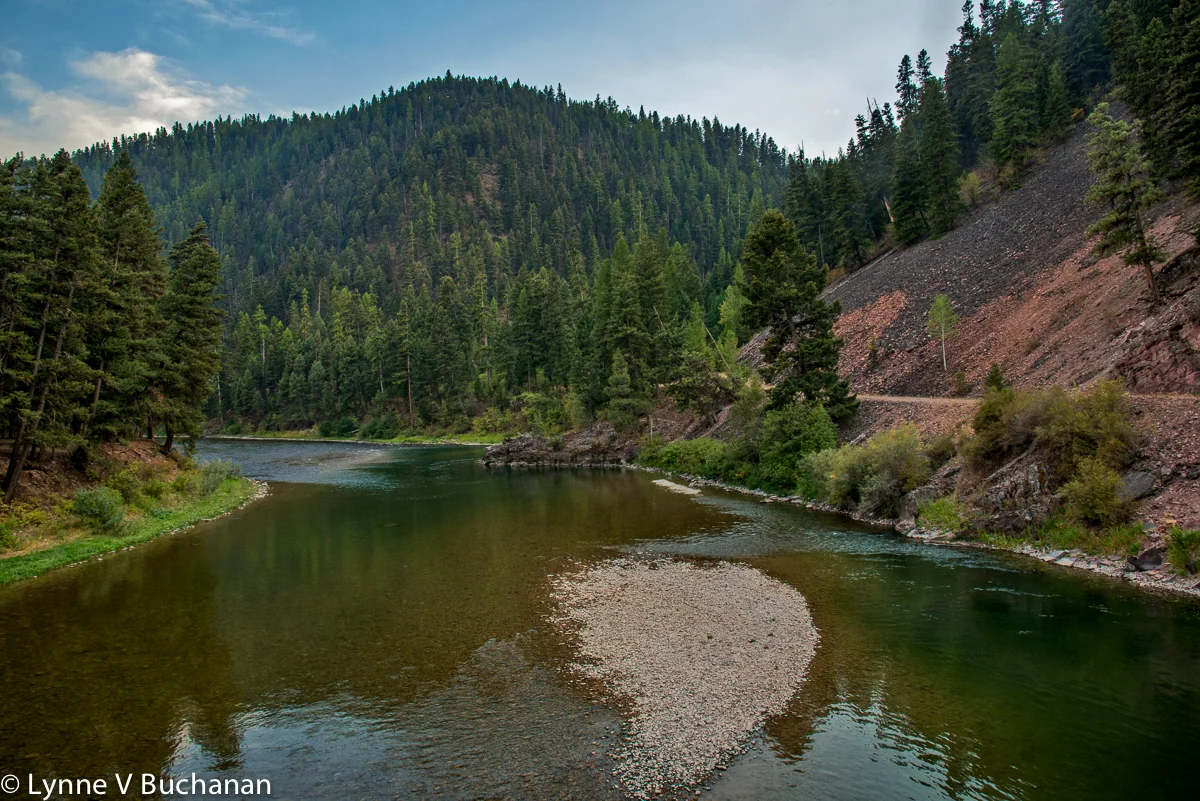 Big Blackfoot River, One of the Last Pristine Rivers in America — Lynne Buchanan Photography