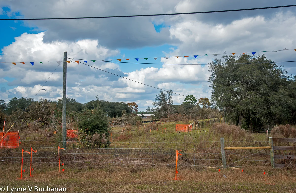 Cutting Through Yards, Dunnellon