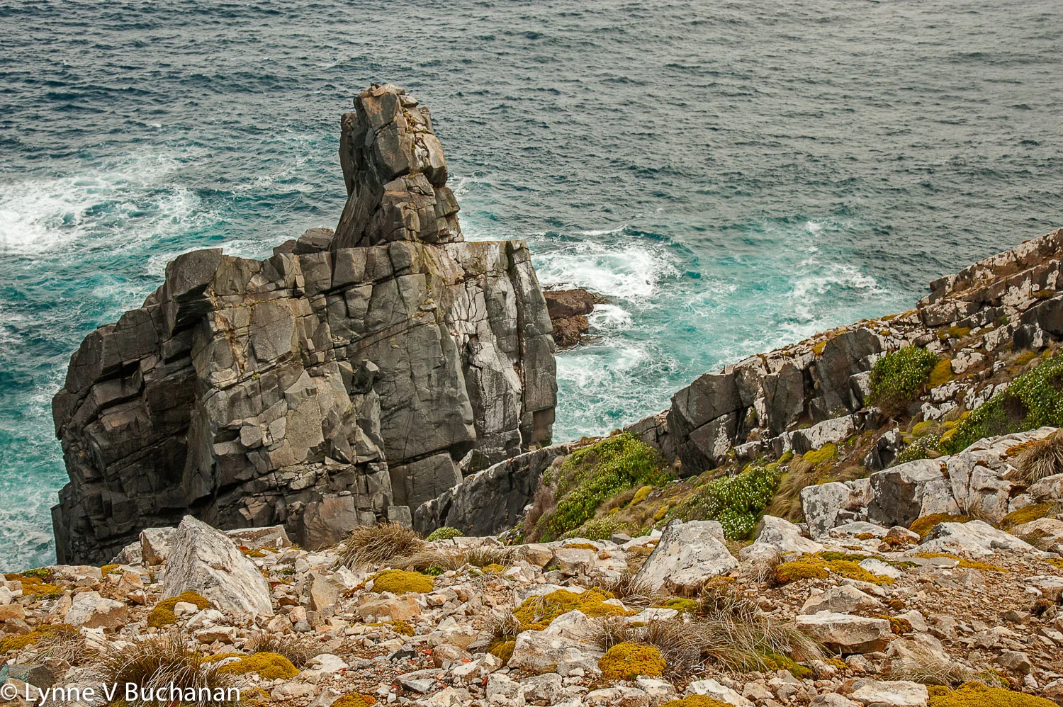 Basalt Formation, Cape Horn
