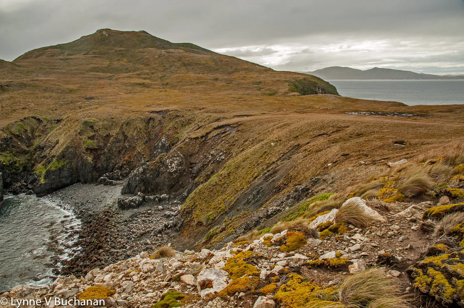 Cape Horn 