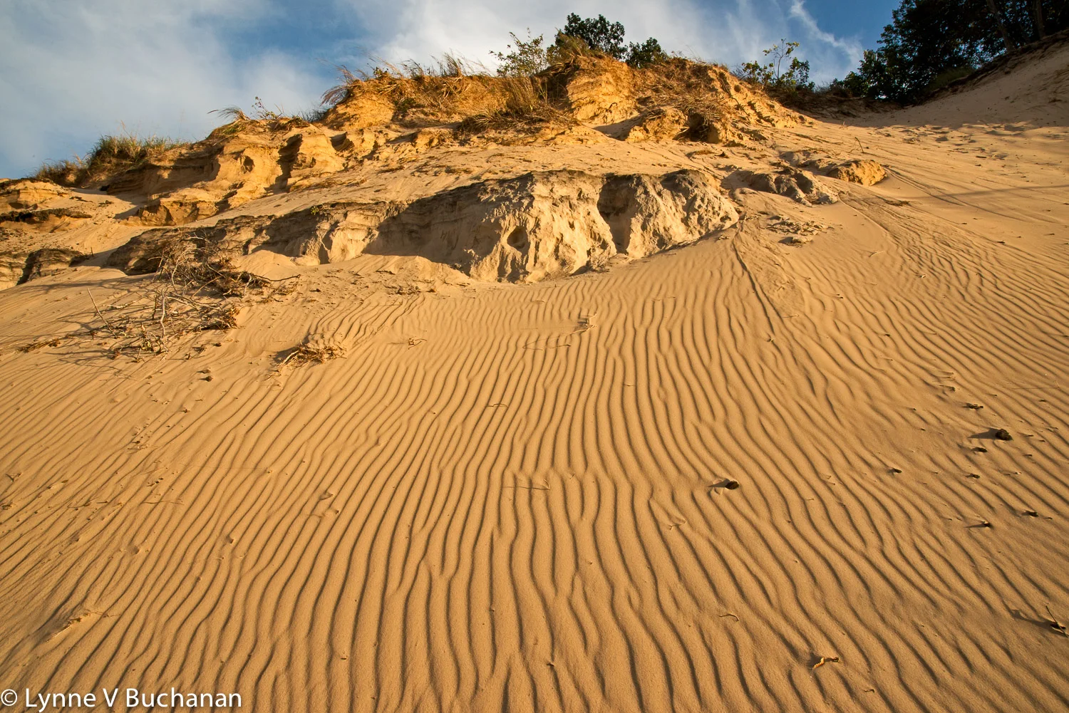 Indiana Dunes National Lakeshore — Lynne Buchanan Photography