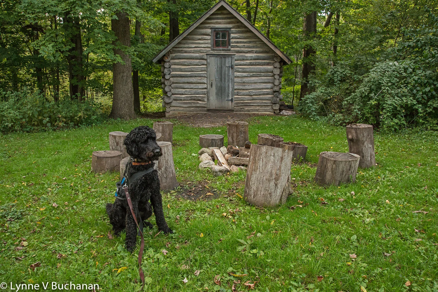 Indiana Dunes National Lakeshore — Lynne Buchanan Photography