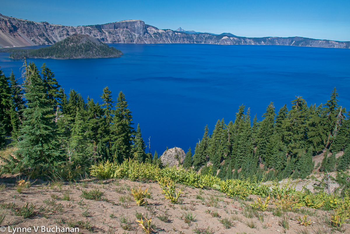 Crater Lake from the Garfield Trail