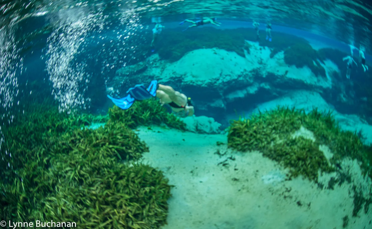 Alexander Springs — Lynne Buchanan Photography
