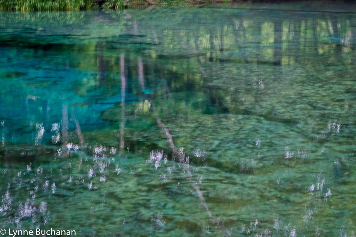 Ghostly Ginnie Springs