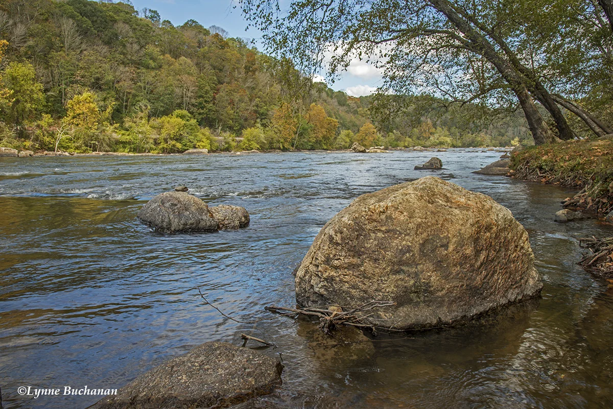 French Broad River at Ledges Park