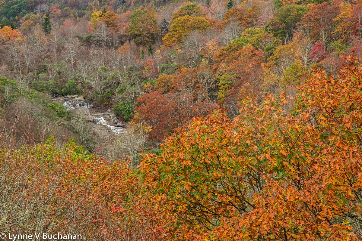 Graveyard Falls, Lower Waterfall from the Parkway