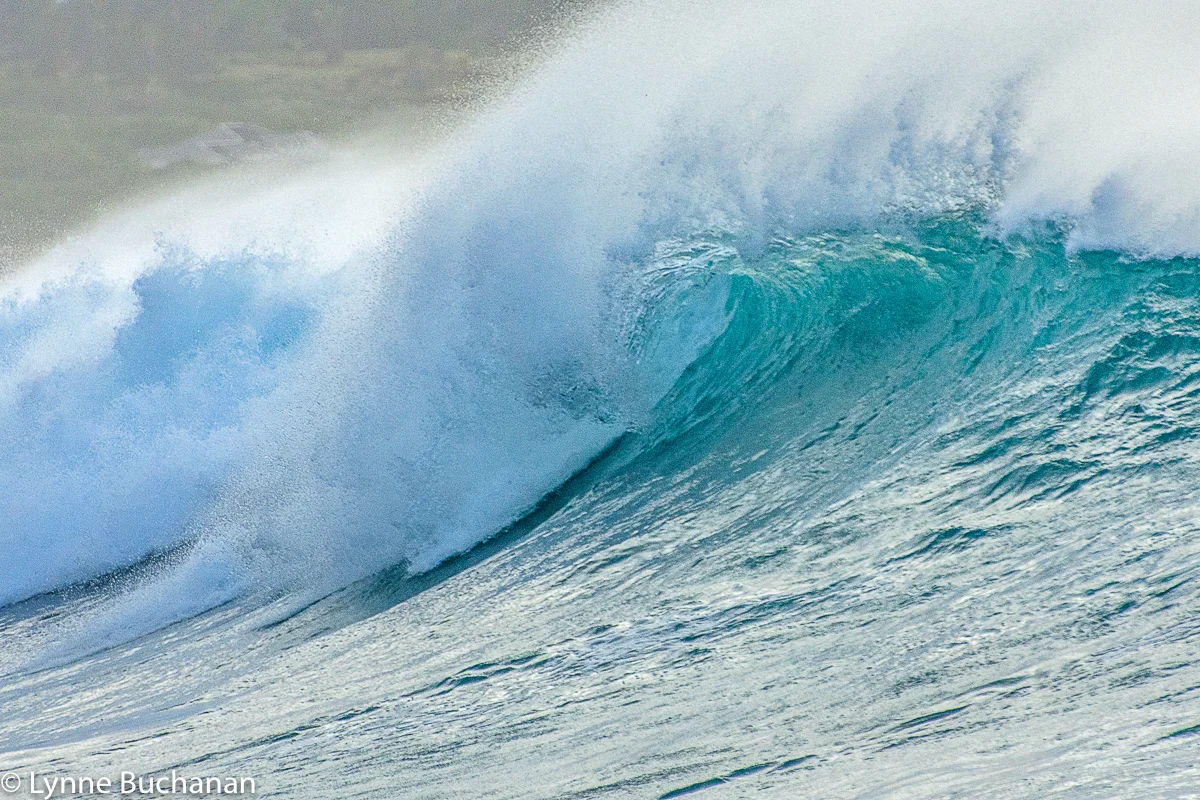 Papohaku Beach Spray and Curl