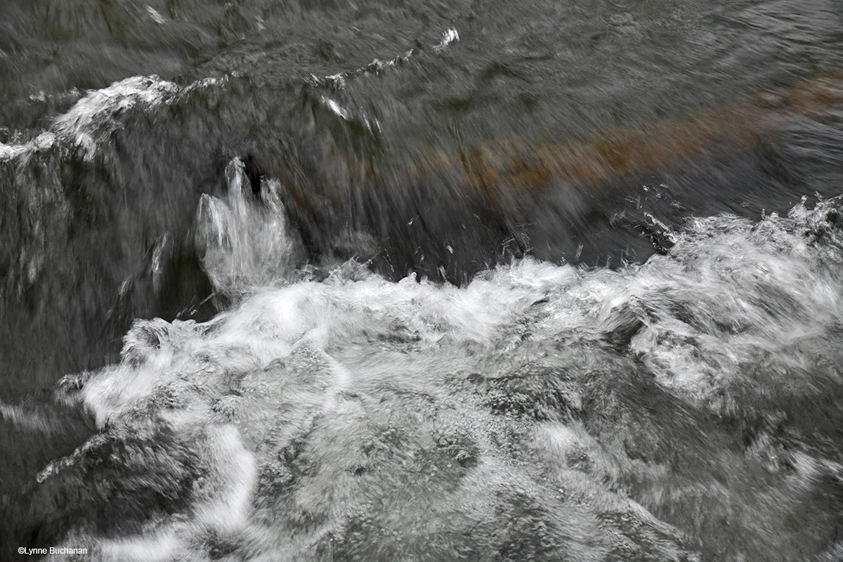 The Power of Riffles, Suwannanoa River.jpg