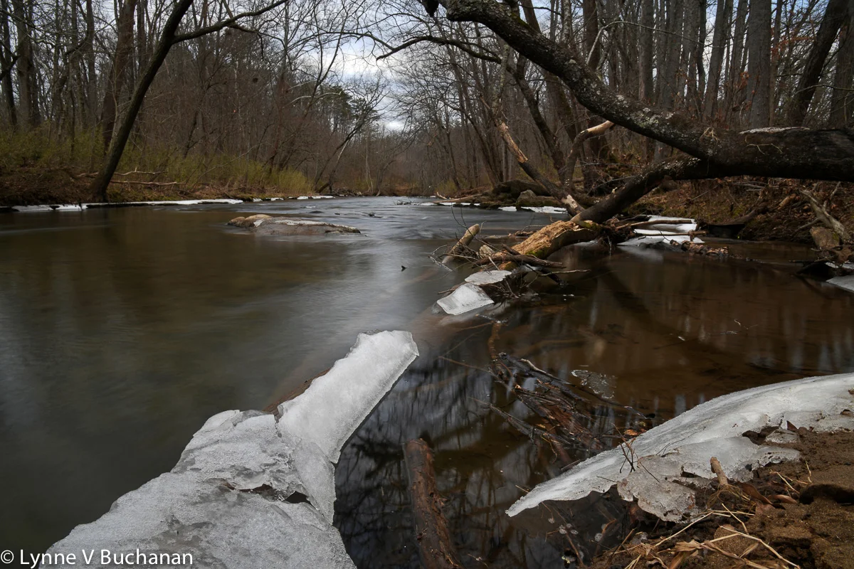 Suwannanoa Wild Riparian Landscape
