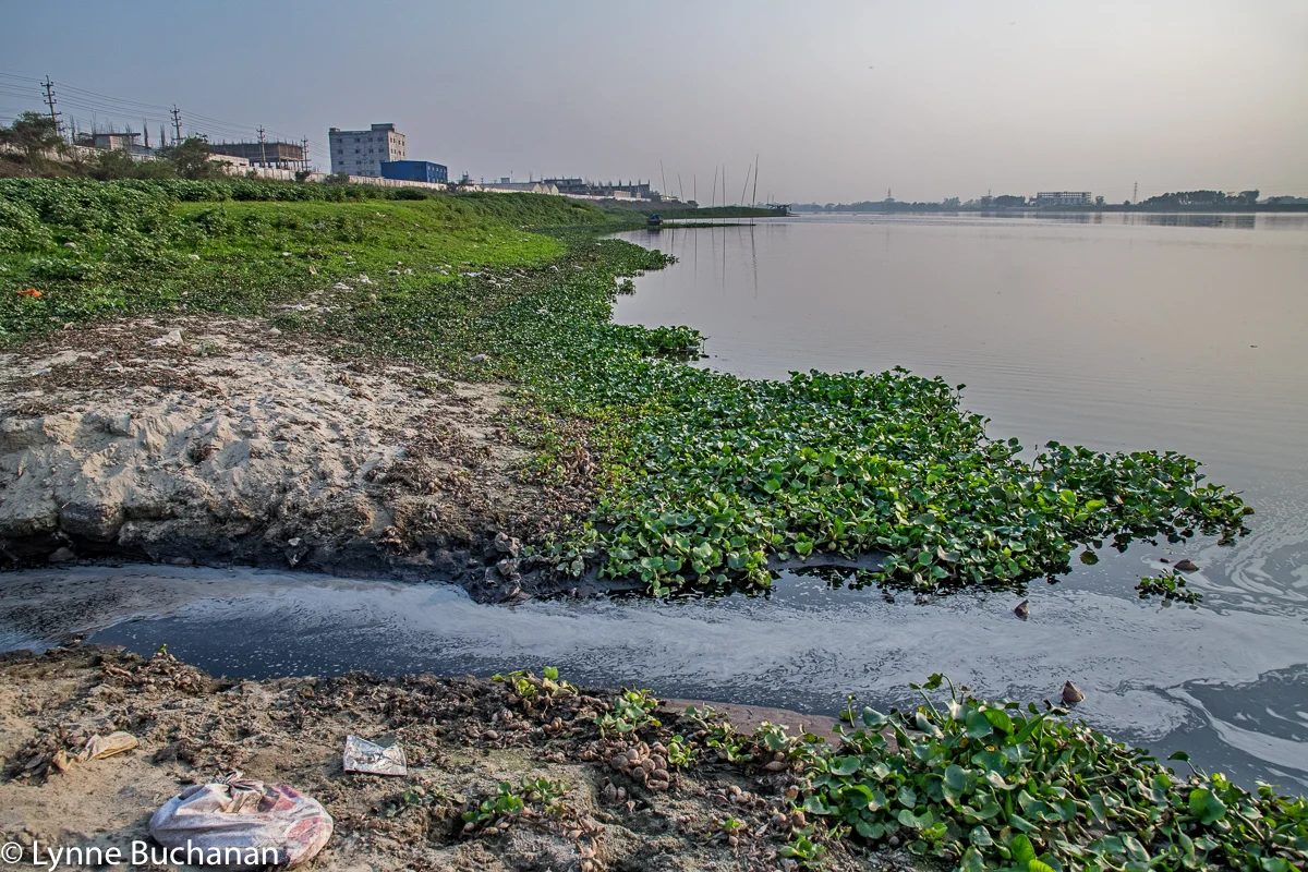 Effluent Directly Entering the Dhaleshwari River from the Savar Tannery Park
